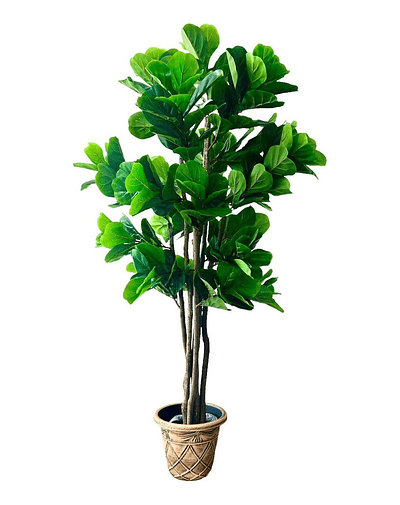 Planta Artificial Decorativa Arbol Grande Ficus Lyrata 180c