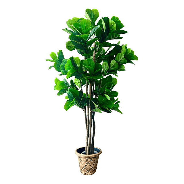 Planta Artificial Decorativa Arbol Grande Ficus Lyrata 180c 1