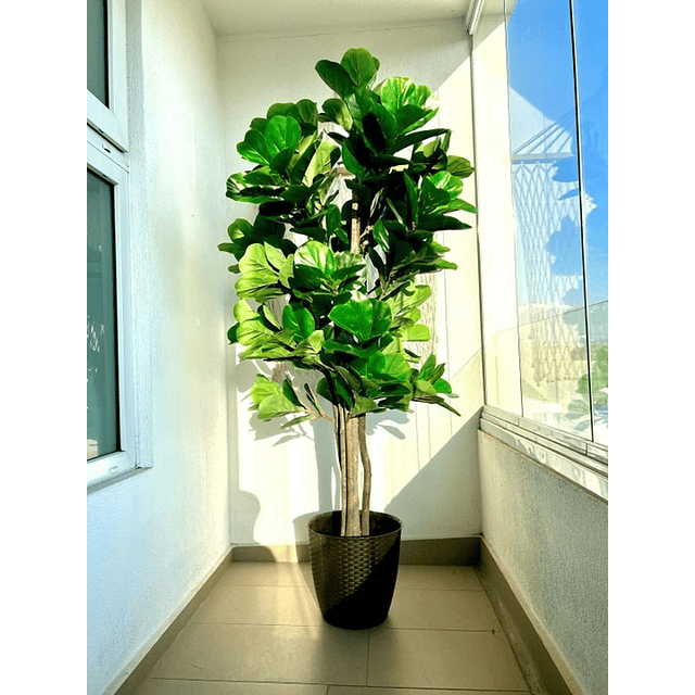 Planta Artificial Decorativa Arbol Grande Ficus Lyrata 180c 2