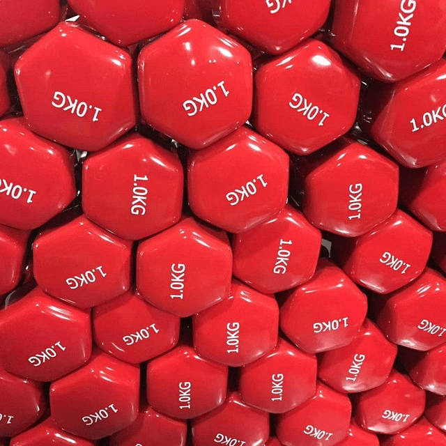 Pack 2 Mancuernas De 2kg C/u Antideslizantes Fitnes y Yoga 10