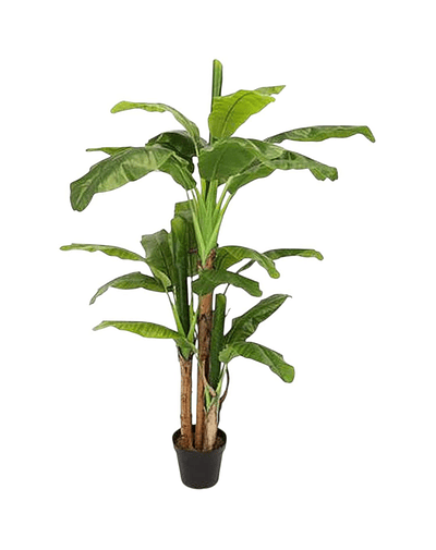 Planta Artificial Decorativa Arbol Grande Banano 230cm 26hjs