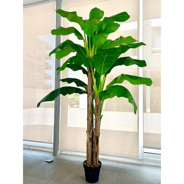 Planta Artificial Decorativa Arbol Grande Banano 230cm 26hjs 2