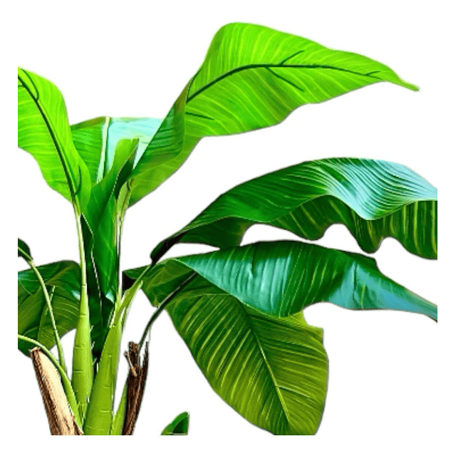 Planta Artificial Decorativa Arbol Grande Banano 160cm 15hj 5