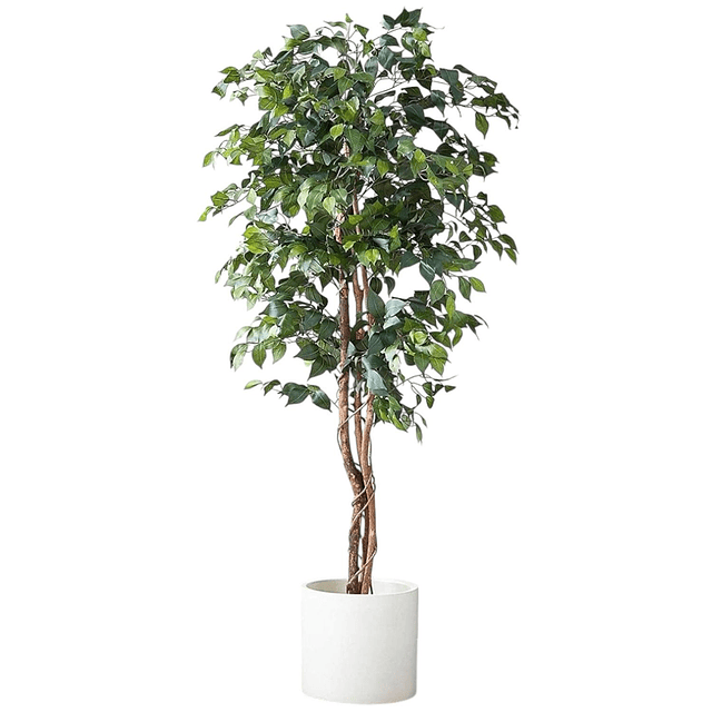 Planta Artificial Decorativa Arbol Grande Ficus 180cm 1260h 1