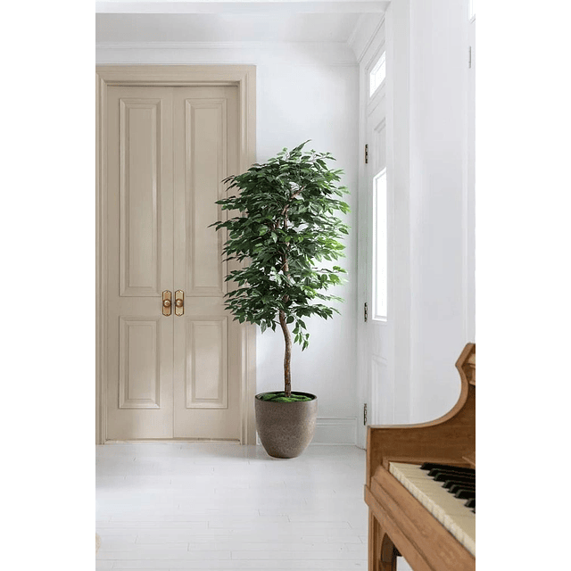 Planta Artificial Decorativa Arbol Grande Ficus 180cm 1260h 5
