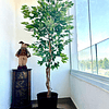 Planta Artificial Decorativa Arbol Grande Ficus 180cm 1260h 8