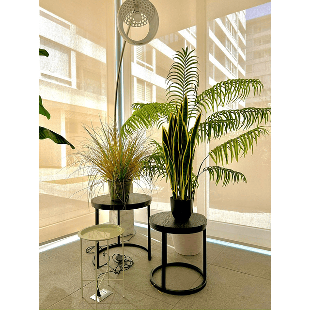 Planta Artificial Lengua de Suegra Sansevieria 90 cm/18 hjs 4