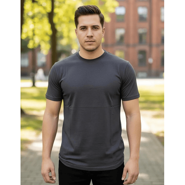 Polera Premium Algodón 100% Manga Corta Basico Estampar 44