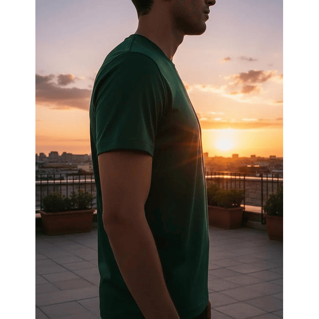 Polera Premium Algodón 100% Manga Corta Basico Estampar 56