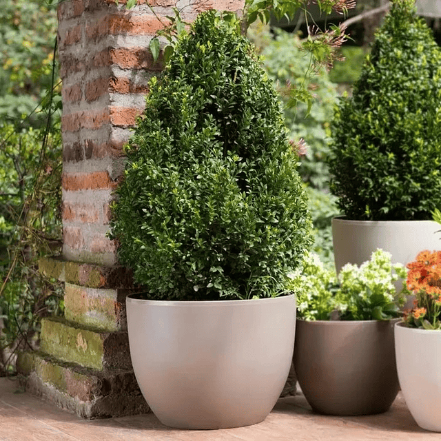 Macetero Nórdico Beige Redondo L 30 cm 40 x 24 x 30 9