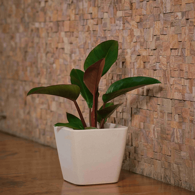 Macetero Nórdico Beige L 40 cm 40 x 24 x 30 7