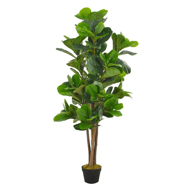 Planta Artificial Decorativa Arbol Grande Ficus Lyrata 150c 5