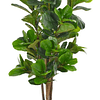 Planta Artificial Decorativa Arbol Grande Ficus Lyrata 150c 5