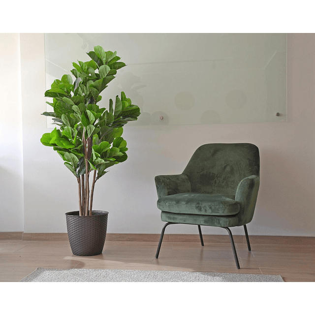 Planta Artificial Decorativa Arbol Grande Ficus Lyrata 150c 6