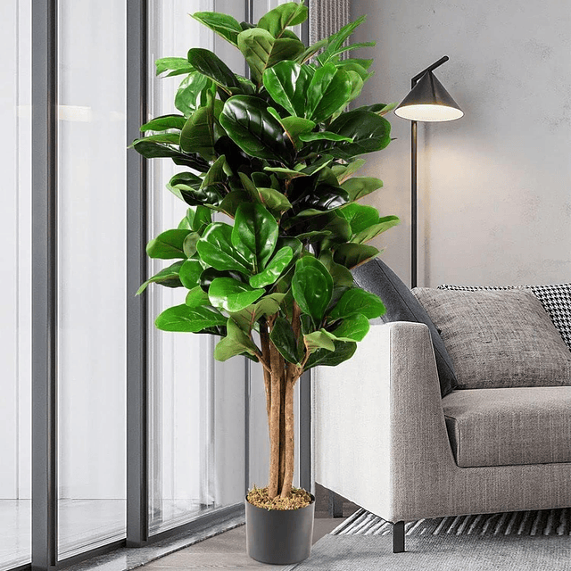 Planta Artificial Decorativa Arbol Grande Ficus Lyrata 150c 7