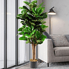 Planta Artificial Decorativa Arbol Grande Ficus Lyrata 150c 7