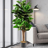 Planta Artificial Decorativa Arbol Grande Ficus Lyrata 150c 10
