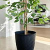 Planta Artificial Decorativa Arbol Grande Ficus 160cm 1008h 5