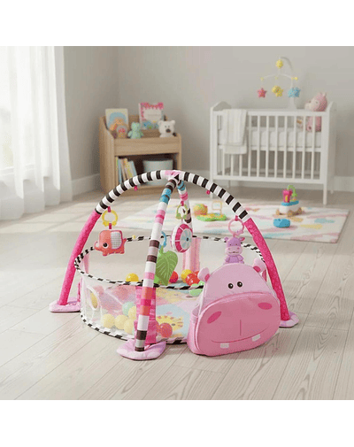 Gimnasio Centro De Juegos Para Bebé Y Piscina Pelotas