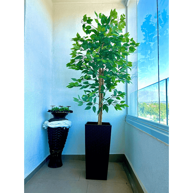 Planta Artificial Decorativa Arbol Grande Pack Ficus 160cm 5