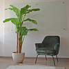 Planta Artificial Decorativa Arbol Grande Pack Banano 180cm 2