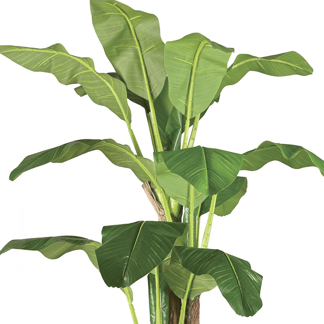 Planta Artificial Decorativa Arbol Grande Pack Banano 180cm 5