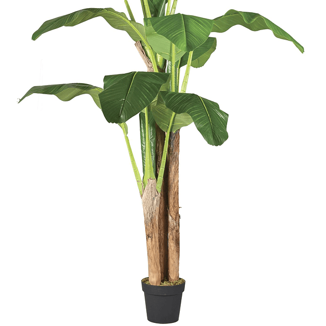 Planta Artificial Decorativa Arbol Grande Pack Banano 180cm 6
