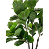 Planta Artificial Decorativa Arbol Grande Ficus Lyrata 180c 3