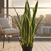 Planta Artificial Lengua de Suegra Sansevieria 60 cm/18 hjs 1