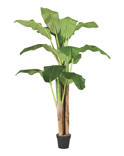 Planta Artificial Decorativa Arbol Grande Banano 180cm 14hjs