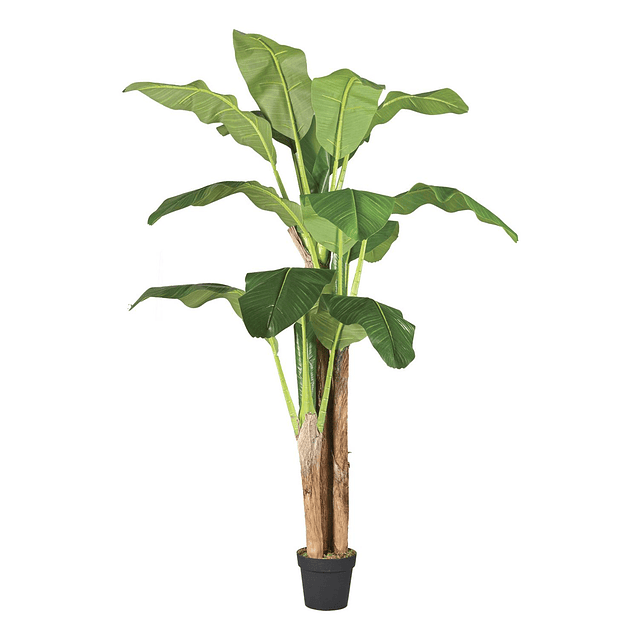 Planta Artificial Decorativa Arbol Grande Banano 180cm 14hjs 1