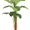 Planta Artificial Decorativa Arbol Grande Banano 180cm 14hjs 1