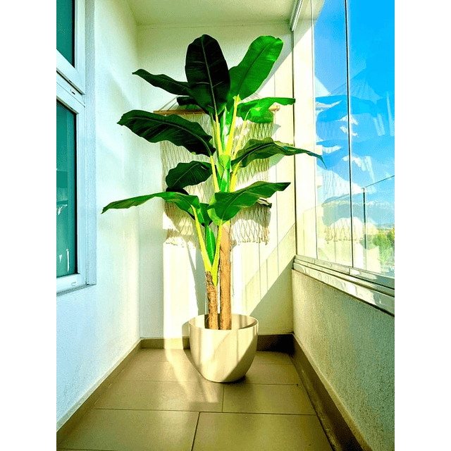 Planta Artificial Decorativa Arbol Grande Banano 180cm 14hjs 5