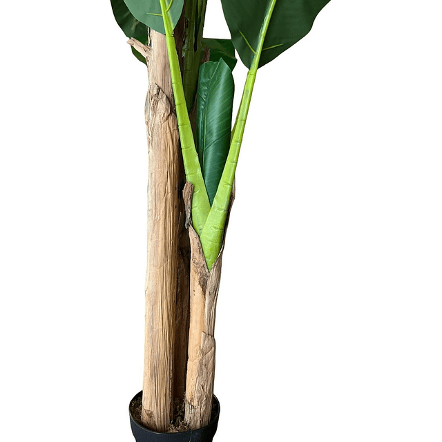 Planta Artificial Decorativa Arbol Grande Banano 180cm 14hjs 6
