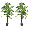 Planta Artificial Decorativa Arbol Grande Pack Ficus 160cm 1