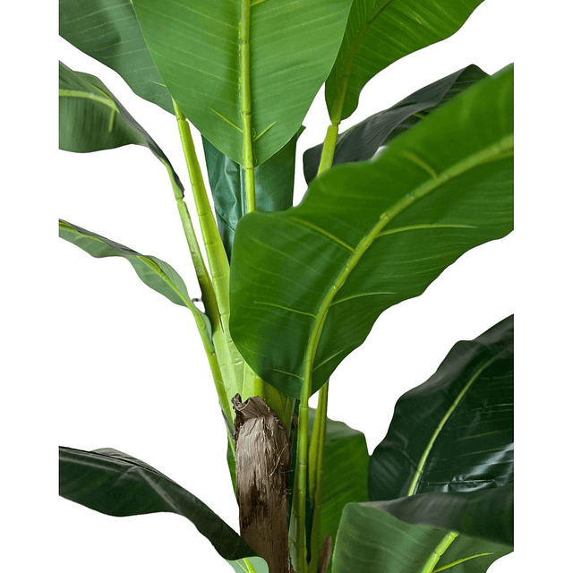 Planta Artificial Decorativa Arbol Grande Banano 180cm 14hjs 7