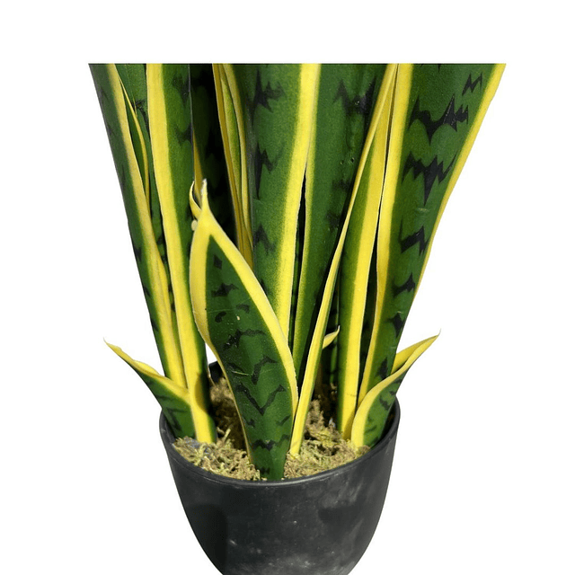 Decoracion Interior Planta Artificial Lengua de Suegra Sansevieria 1
