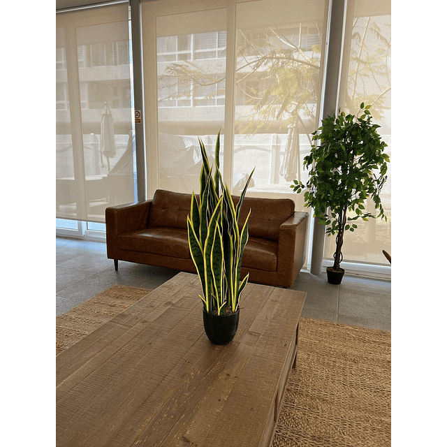 Decoracion Interior Planta Artificial Lengua de Suegra Sansevieria 4
