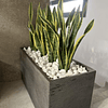 Decoracion Interior Planta Artificial Lengua de Suegra Sansevieria 15