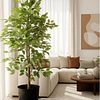 Planta Artificial Decorativa Arbol Grande Ficus 160cm 1008h 2