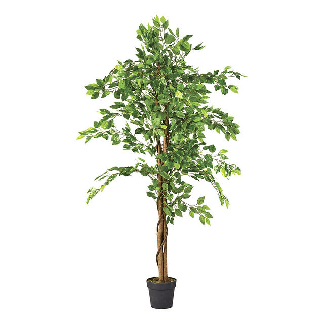 Planta Artificial Decorativa Arbol Grande Ficus 160cm 1008h 10