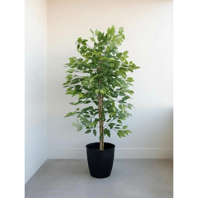 Planta Artificial Decorativa Arbol Grande Ficus 160cm 1008h 13