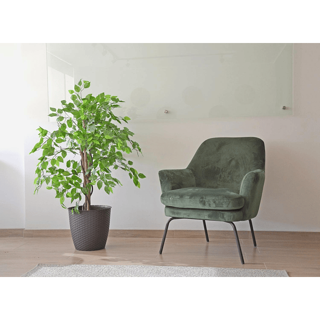 Planta Artificial Decorativa Arbol Grande Pack Ficus 120cm 5