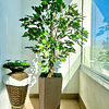 Planta Artificial Decorativa Arbol Grande Ficus 120cm 630hj 3