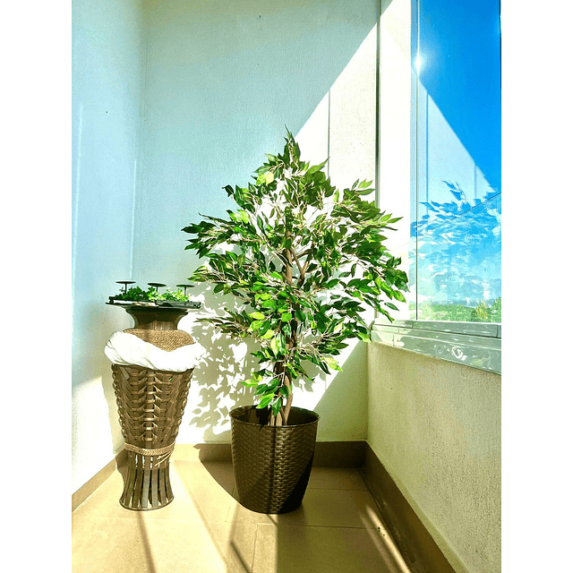 Planta Artificial Decorativa Arbol Grande Ficus 120cm 630hj 5