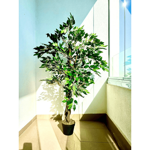 Planta Artificial Decorativa Arbol Grande Ficus 120cm 630hj 6