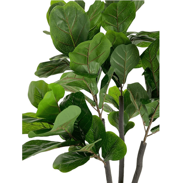Planta Artificial Decorativa Arbol Grande Ficus Lyrata 180c 4