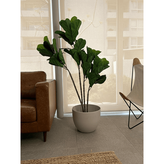 Planta Artificial Decorativa Arbol Grande Ficus Lyrata 180c 5