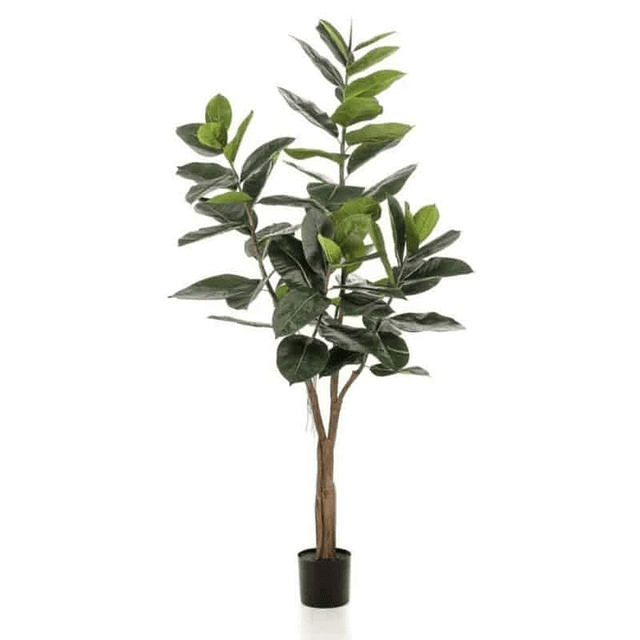 Planta Artificial Decorativa Arbol Grande Ficus Lyrata 180c 6