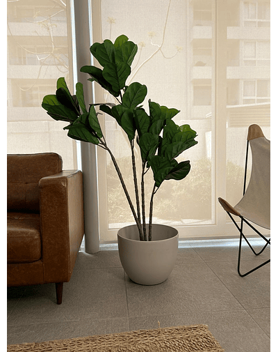 Planta Artificial Decorativa Arbol Grande Ficus Lyrata 180c